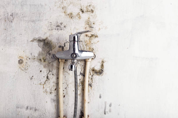 Home Mold Removal in Milledgeville, GA
